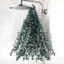 DomeStar 16PCS Real Dried Eucalyptus Stems for Shower, 16"-17" Natural Shower Eucalyptus Bathroom SPA Stress Relax and DIY Hanging Greenery Wreath for Home Wall Wedding Christmas Decor