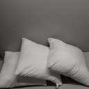 Calibrate Timing 18 x 18 inches Pillow Inserts, Set of 4 Hypoallergenic Brushed Microfiber Liner Down Alternative Filled Square Cushion Throw Pillow