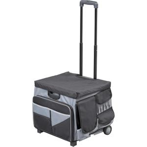 Mobile Folding Utility Cart with Canvas Storage Organizer Bag, Rolling Cart, Black/Grey