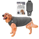 BellyGuard Recovery Suit for Dogs, Comfy Dog Surgery Suit, Female Spay and Male Neuter Onesie for Post-Op Care Size XXL