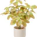 18" Fall Artificial Eucalyptus Plant,Indoor Fake Potted Plants with Ceramic Pots,Faux Plant Desk Plants for Living Room Kitchen Bathroom Office centerpieces Decor