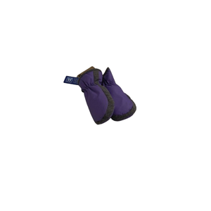 Ski Mitten Purple