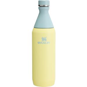Stanley All Day Slim Bottle 20 oz | Leakproof Twist on Lid | Slim Design for Travel and Gym | Insulated Stainless Steel Water Bottle | BPA-Free | Pomelo