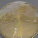 3 Pcs Gold Tray, 12 inch Round Serving Tray Stainless Steel, Bar Circle Decorative Plate, Coffee Table Metal Decor Dishes, Vanity Tray Jewelry Makeup Organizer for Bathroom Candle Perfume