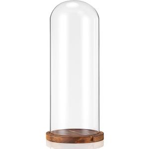 AceOrbit 16 Inch Glass Dome Cloche Display with Wood Base, Clear Tall Glass Dome, the Bell Jar Clear Cloche for Plants, Curios, Keepsakes, Heirlooms