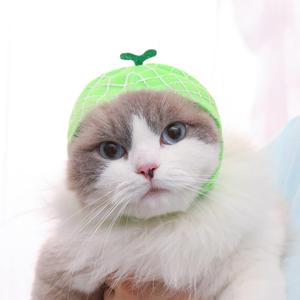 Cat Puppy Funny Fruit Hat Cute Cat Accessories Orange Watermelon Apple Design Cosplay Clothes Party Wear for Kitten Small Dog (Melon)