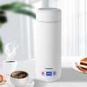 Portable Travel Kettle, Mini Electric Kettle with 5 Temperature Settings, 304 Stainless Steel, Auto Shut-Off & Boil Dry Protection, Small Tea Kettle for Travel, Black,white