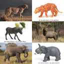 FRUSE Safari Animals Figures Toys, 12PCS Wild Zoo Figurines, Realistic African Jungle Playset With Panda, Lion, Elephant, Educational Learning Toys for Toddlers Kids 3-5