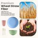 Homienly Wheat Straw Dinnerware Sets 20 PCS Cups and Plates Sets for Kitchen Microwave and Dishwasher Safe Plate Set Unbreakable Camping Dish Set Kids Plates and Bowls Sets for Picnic, RV (Multilight)