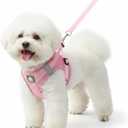 Dog Harness with Leash Set, No Pull Adjustable Reflective Step-in Puppy Harness with Thickened Padded Vest for Extra-Small/Small Medium Dogs (Pink, Medium)
