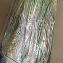 Jexine 6 Pcs Tall Artificial Grass Plant 4 ft Potted Artificial Greenery Floor Plants Faux Pampas Grass Tall in Pot for Housewarming Gift House Garden Bathroom Lobby Outdoor Decoration