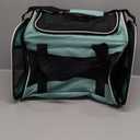 Cat Carrying Case Pet Dog Carrier Soft-Sided Cat Bag Airline Approved, Pet Travel Carrier Up to 15 Lbs, Collapsible Cats Carrier Dog Carrier for Medium Small Cats Dogs(17x11x11 Green)