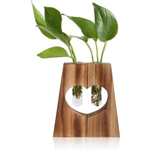 Glass Plant Propagation Station for Hydroponics