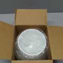 Meshpot 5 inch Orchid Pots with Holes for Repotting with Excellent Airflow and No Leaking, Set of 2, Decorative Orchid Planter with Air-Pruning, Plastic White Orchid Container with Saucers