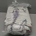 Bedsure Comforter Set Queen Size - Cute Floral Bedding Comforter Set, 3 Pieces, 1 Soft Reversible Coconut White Botanical Flowers Comforter and 2 Pillow Shams