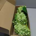 3D Real Touch Large Artificial Hydrangea Flower, Medium Green Faux Hydrangea for Wedding, Party, Luxury Home Decor and Floral Arrangement, 3 Pack 