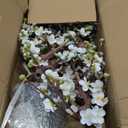 Faux Cherry Blossom Decor White Silk Flowers Arrangement 17.3" Small Cherry Blossom Flowers Tree Realistic Artificial Flowers with Vase Pot Fake Flowers for Home Office Table Centerpiece Wedding Decor