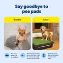 PetSafe Pet Loo Portable Dog Potty,Toilet Alternative for Puppy Pads, Perfect for House Training, Easy-to-Clean Grass Mat, Large