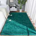 AROGAN Shag Area Rug for Bedroom, 4x6 Feet Washable Rugs for Living Room, Non-Slip Indoor Floor Carpet Rugs, Plush Memory Foam Beside for Kids Girls Teens Room Rug, Teal Green