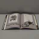 One Song: A New Illuminated Rumi