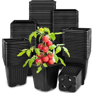 Anyumocz 100Pcs Square Plant Nursery Pots, 3.5 Inch Plastic Pots with Drainage Holes, Reusable Seed Starter Pots for Flowers, Vegetables, Garden Planting, Transplanting, Succulents, Cuttings(Black)