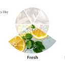 Degree Fresh Dry Protection Antiperspirant Deodorant Stick, 2.6 oz