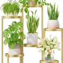 iDavosic.ly Plant Stand Indoor Outdoor, 6 Tier Corner Metal Flower Display Holder Shelf, Easy Assembly Folding Tall Orchid Rack for Patio Balcony Porch Garden Living Room House, Gold