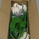 5Pcs Peonies Artificial Flowers Real Touch Austin Roses 23.6 Inch Long Stem Fake Flowers for Decoration Latex Rose Peony for Vase Wedding Valentines Day Party Arrangement Home Decor - Light Champagne