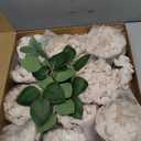 Floroom Artificial Flowers 16pcs 4" Blooming Peonies Real Looking Foam Fake Peony with Stems for DIY Wedding Bouquets Bridal Shower Centerpieces Floral Arrangements Party Tables Decorations - Cream