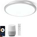 Smart Ceiling Light 24W LED Fixture, Flush Mount Ceiling Light Compatible with Alexa Google Home, Voice/Remote/App Control for Bedroom, Kitchen Island, Living Room