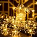 Fielegen 20 LED Cherry Blossom Flower String Lights 9.84FT Battery Powered Fairy Christmas Decorative Novelty Light for Home Bedroom Garden Wedding Party (Warm White)
