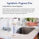 THE CLEAN PEOPLE Liquid Dish Soap - Clean, Simple Ingredients - Extra Scrubbing Power (Fragrance Free) 12 fl. oz (3 Pack)