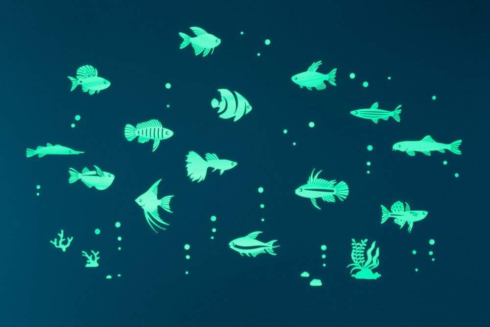 Tropical Fish Series (63 pcs/Pack), Glow in The Dark Educational Wall Stickers, The Eco-Friendly and Brightest Wall Stickers for Ceiling, Bathtime, Bedroom, Party, Decor, Made in Japan