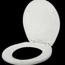Bemis Richfield Elongated Toilet Seat White 1001262668-000 U1D