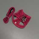 rabbitgoo Dog Harness Small Sized and Leash Set, Step in Soft Light Puppy Vest, Breathable Mesh Pet Harness, Reflective for Safe Easy Walking, Rosa Red XXXS (XXXS (Chest: 10.8 - 11.8"))