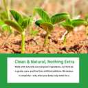 2 x Body Deodorizing Supplement, Natural Chlorophyll 90 Capsules for Women & Men, Full Deodorant Supplement, Body Internal Deodorant Pills with Mint & Parsley, BBD 03/2027