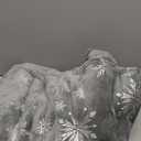 Likiyol Christmas Blanket - Silver Snowflake Throw, Soft Warm Flannel for Couch, Bed, Sofa, 50 x 60 Inch, Grey