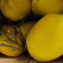 13 Pcs Faux Fruit Decoration Set Includes 3 Pcs 31.5 Inch Artificial Lemon Branch 10 Pcs 3 x 2 Inch Faux Yellow Lemon 5 Head Fake Fruit with Stem for Home Photography Prop Kitchen
