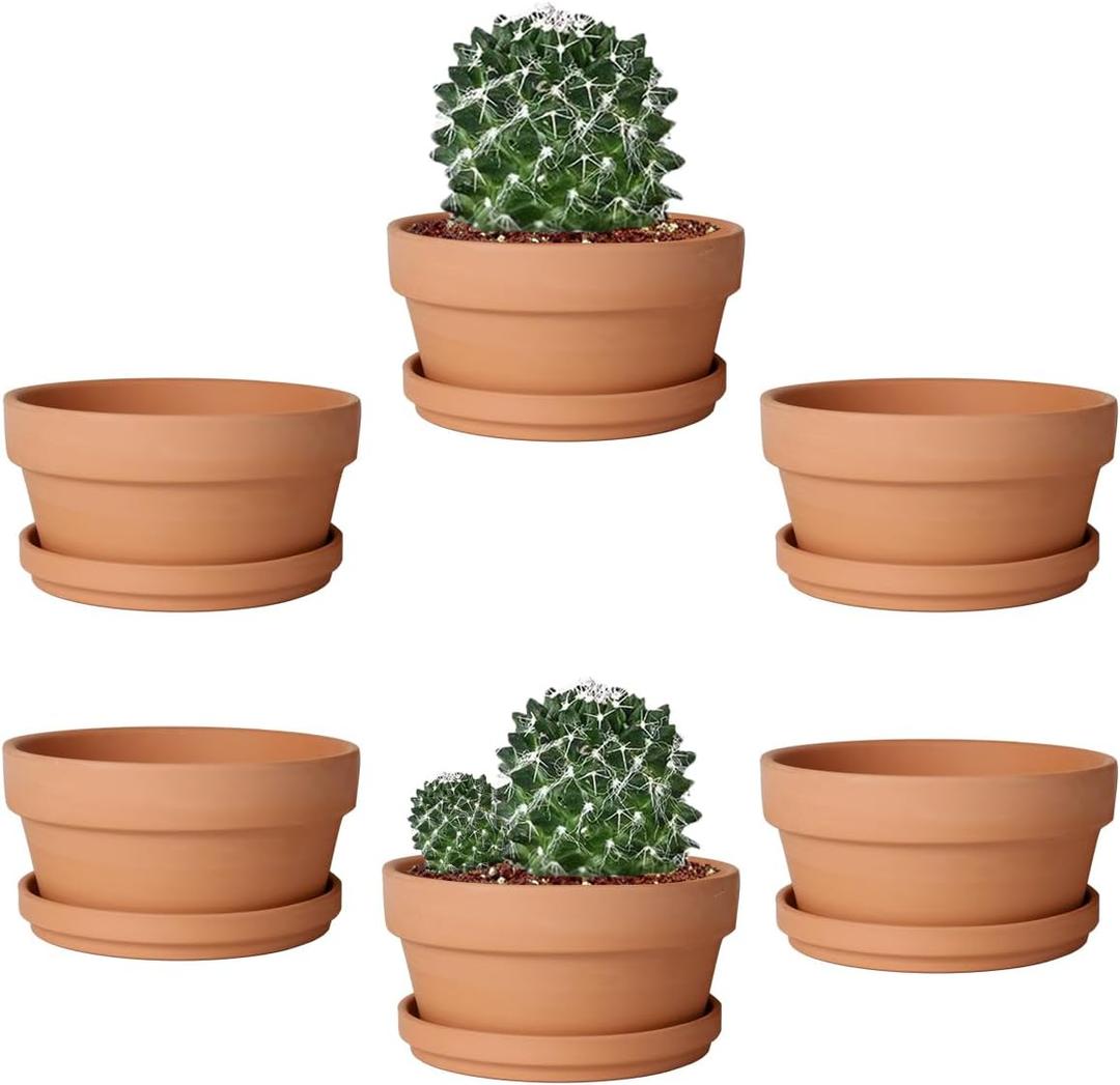 vensovo 5.7 Inch Terracotta Shallow Succulent Pot - 6 Pack Terra Cotta Clay Pots with Saucer, Cacuts Terra-Cotta Indoor and Outdoor Planters with Drainage Hole (Brown)