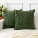 Kevin Textile Spring Throw Pillow Covers Soft Corduroy Decorative Set of 2 Boho Striped Pillow Covers Pillowcases Farmhouse Home Decor for Couch Bed Sofa Living Room 24x24 Inch Moss Green