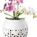 EFISPSS Orchid Pot with Holes, 6 Inch Ceramic Orchid Pot with Drainage and Tray, Promoting Air Circulation and Drainage, Indoor/Outdoor Flower Pots - White