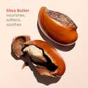 Clarins Hand and Nail Treatment Cream | Award-Winning | Softens, Nourishes and Shields Skin | Strengthens Nails and Conditions Cuticles | Natural Plant Extracts, Including Shea Butter