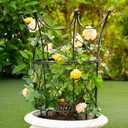 Peony Supports for Outdoor Plants,18.5 x 22.9in Dahlia Stakes | Durable Garden Support Cage for Peonies, Tall Plant Support Stakes, Elegant Design - Ideal for Indoor & Outdoor Use