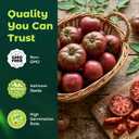 400 Heirloom Cherokee Purple Tomato Seeds for Planting – Unique Dark Purple Beefsteak, Rich Flavor, High Germination, Ideal for Home Garden & Container (EXP 11/17/27)