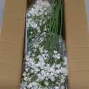 MARTINE MALL Babys Breath Artificial Flowers, 15 PCS White Baby Breath Flowers Artificial Bulk, Fake Babys Breath Gypsophila Real Touch Faux Babys Breath for Wedding Floral Arrangement Home Decor