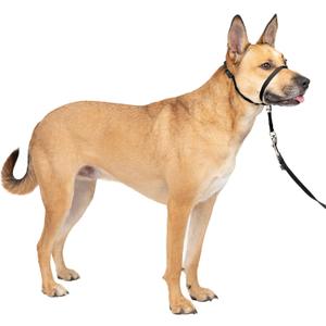 PetSafe Gentle Leader No-Pull Head Collar for Dogs, Dog Head Collar - The Ultimate Solution to Pulling, Padded Nose Loop, Quick-Snap Neck Strap, Dog Halter, Medium - Black (Medium (Pack of 1))