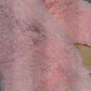 KCHOWUA Pink Fluffy Fuzzy Small Area Rugs for Bedroom Girls,3'x5' Machine Washable Plush Pastel Throw Cute Rug for Living Room,Modern Soft Shag Shaggy Furry Floor Nursery Kids Dorm Room Carpets