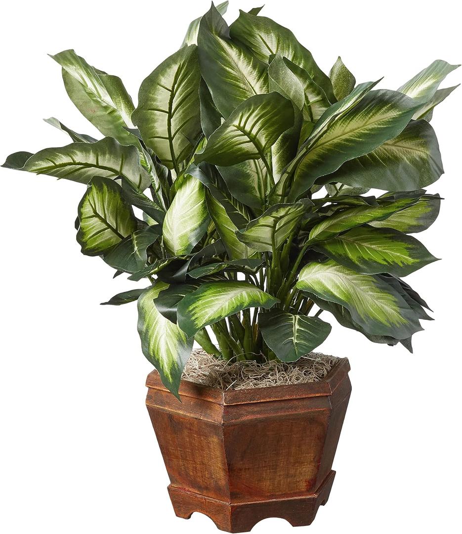Nearly Natural 22IN Artificial Triple Golden Dieffenbachia Plant with Decorative Wood Planter, Faux Plant for Indoor Home Dcor