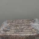 9x12 ft Area Rug – Boho Indoor Rug, Non-Slip, Machine Washable, Low Pile Large Rug for Living Room, Bedroom, Dining Room