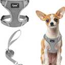 PUPTECK Dog Harness and Leash Set, No Pull Adjustable Pet Small Dog Harness, Reflective Soft Mesh Pet Vest, for Small Medium Dogs Walking, Grey, S